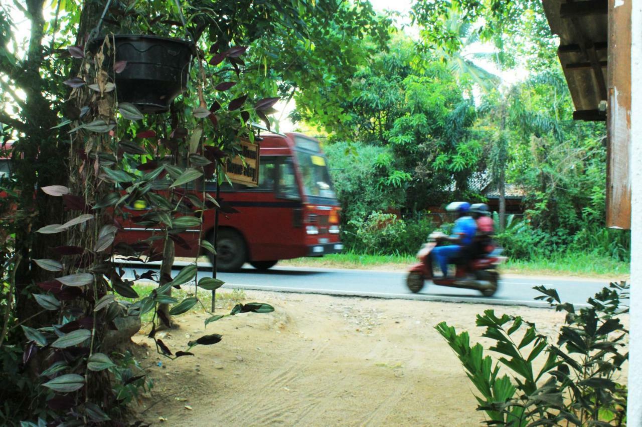 Isumi & Risara Home Stay Sigiriya Eksteriør billede